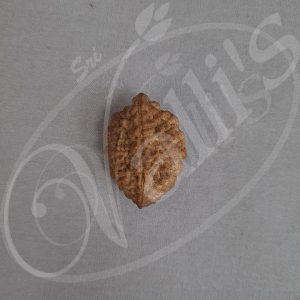 PA0075 Ruthracham 2 Mugam