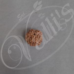 PA0076 Ruthracham 5 Mugam