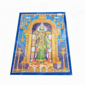 PH0096 Sri Meenakshi