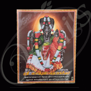 PH0144 Sri Lakshmi iyargirvar Laminated